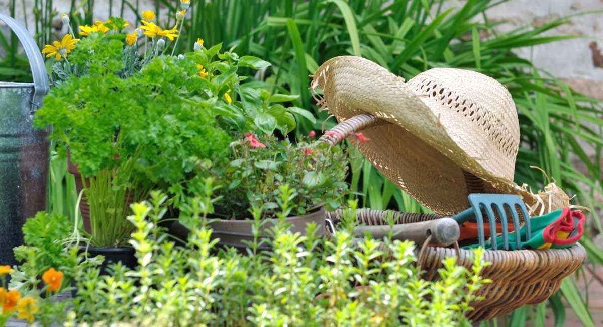 A Complete Guide to Buying the Best Gardening Hat